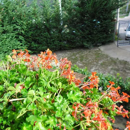 Casale Del Borgo לינה וארוחת בוקר